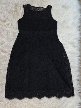 Express Lace Sheer Dress- XS